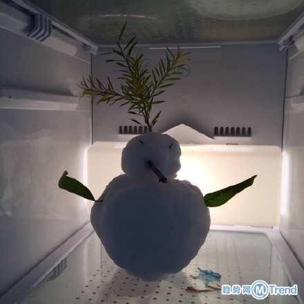 重庆人民是这样挽留雪人的