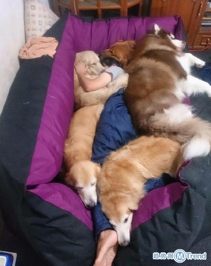 冬天最暖的被子