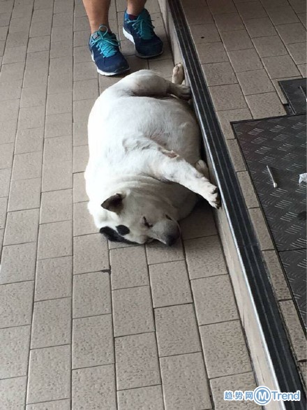 过完年后的我们