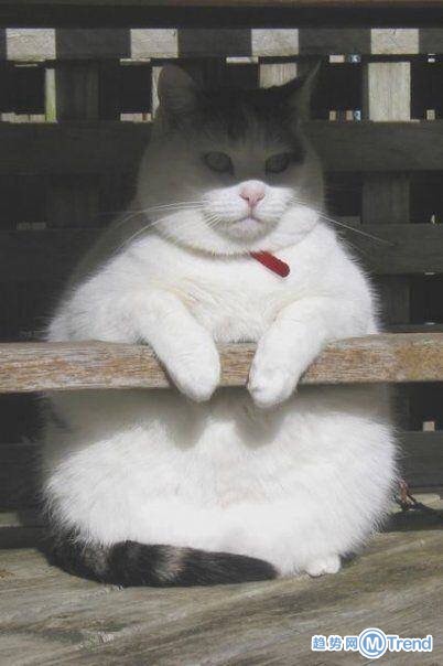 过完年后的我们