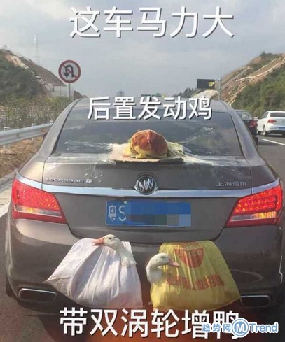 带着鸡鸭上高速