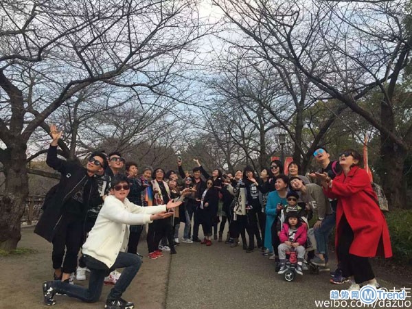 日本赏樱未开的PS演技派