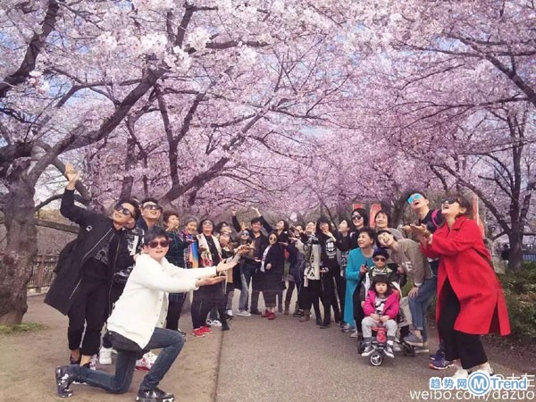 日本赏樱未开的PS演技派