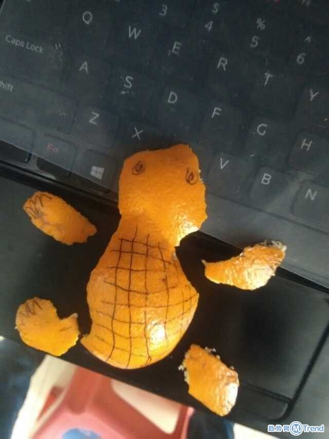 腰间盘突出的小乌龟