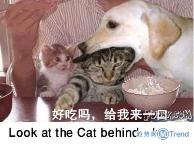 这是一个悲伤的故事