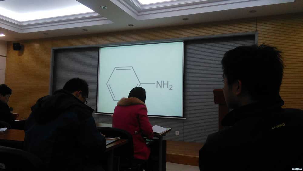 呆萌汇报PPT——就算电子的你也不能这么浪费纸啊