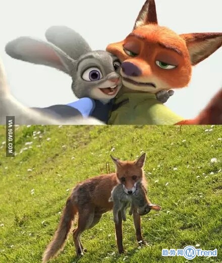 你哭着对我说童话里的故事都是骗人的！