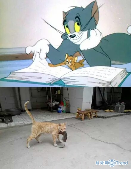 你哭着对我说童话里的故事都是骗人的！