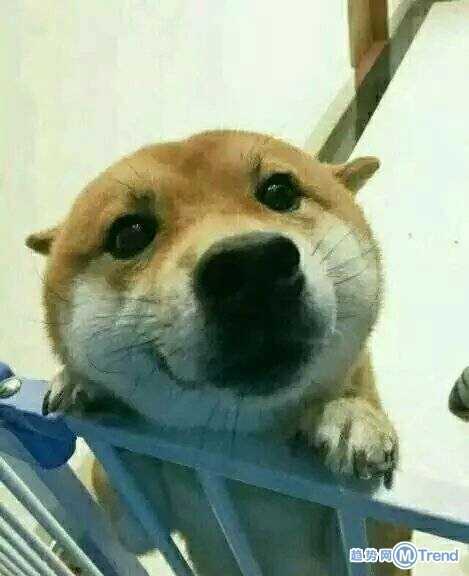 你下铺瞅你的样子