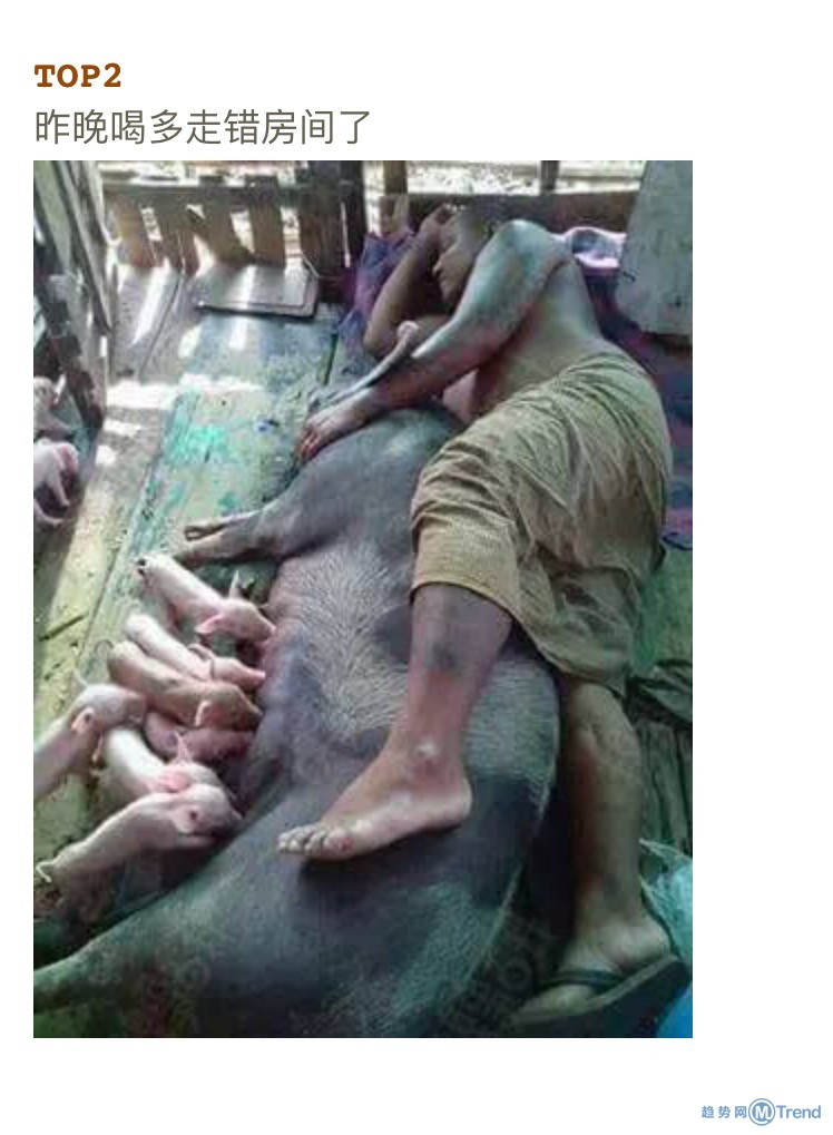 今天全宇宙最糗的十张图