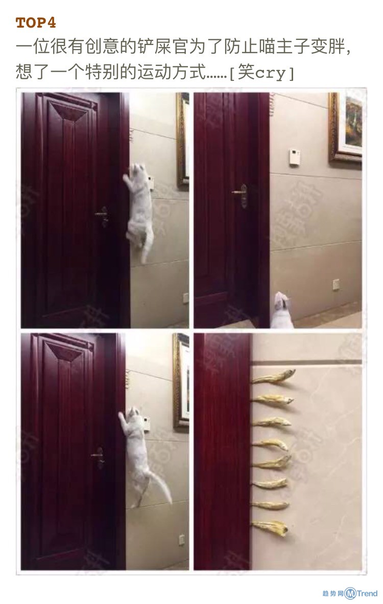 今天全宇宙最糗的十张图