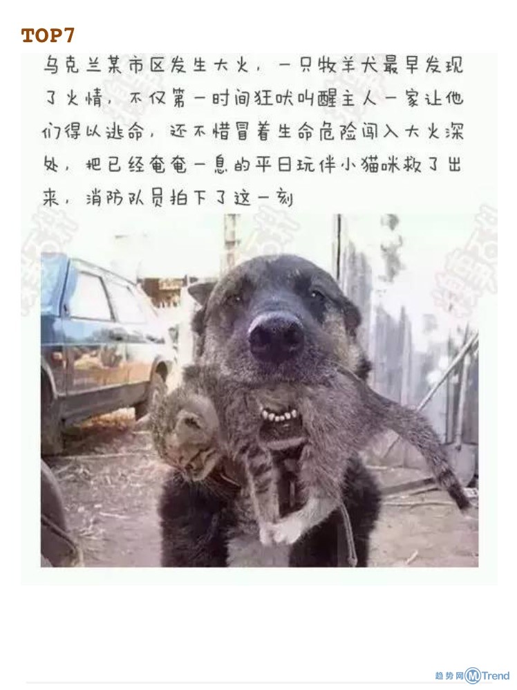 今天全宇宙最糗的十张图