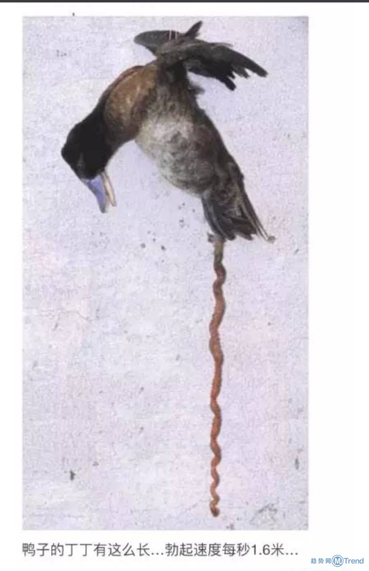 知道后最让你震惊的冷知识