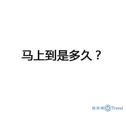 你若能回答我这些问题，我将送上今年的膝盖