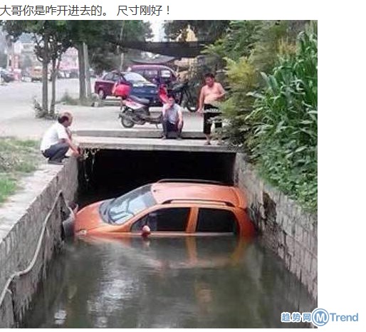 奇葩无处不在！