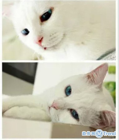 女神也有不为人知的一面