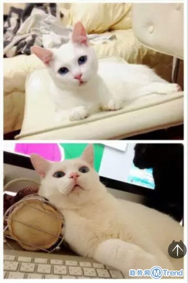 女神也有不为人知的一面