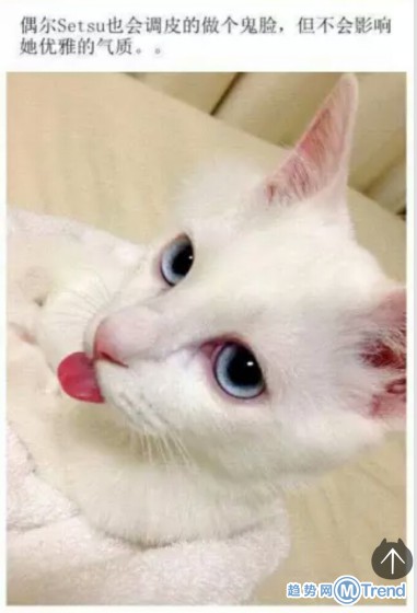 女神也有不为人知的一面