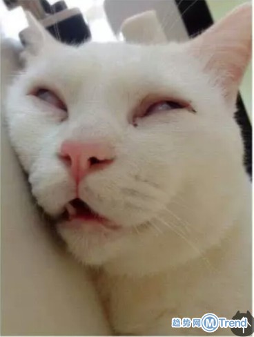 女神也有不为人知的一面