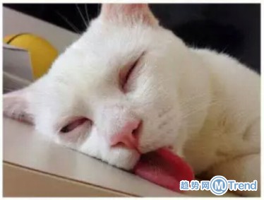 女神也有不为人知的一面