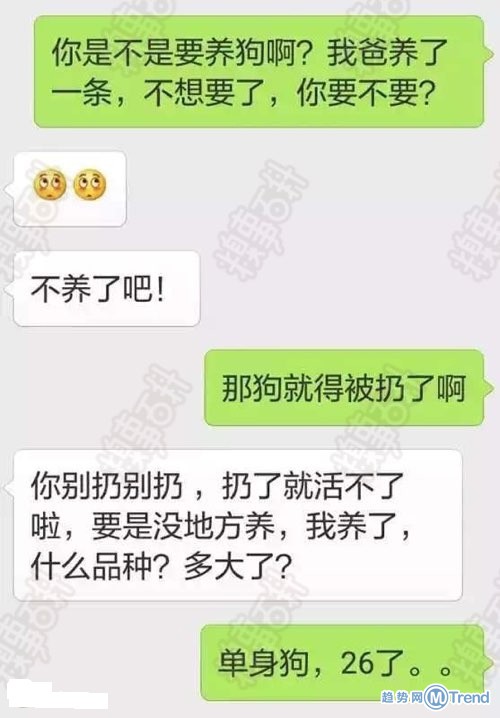 你是不是养狗？