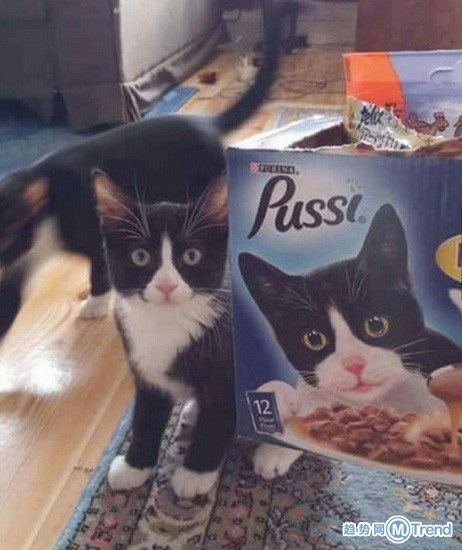 什么时候找的工作