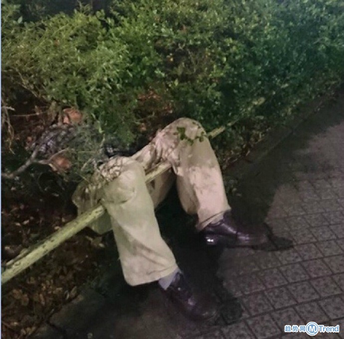 嘿，哥们  你还.... 好吧