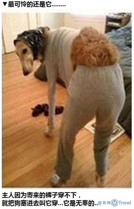 那些年被骗的购物经历（4）