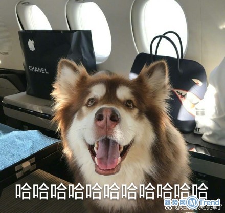 周鸿祎问的问题