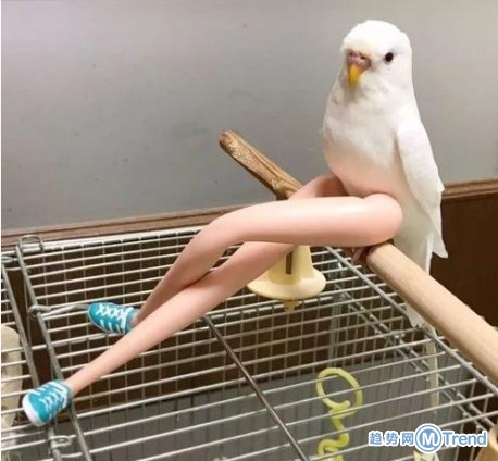 这大长腿也太性感了！