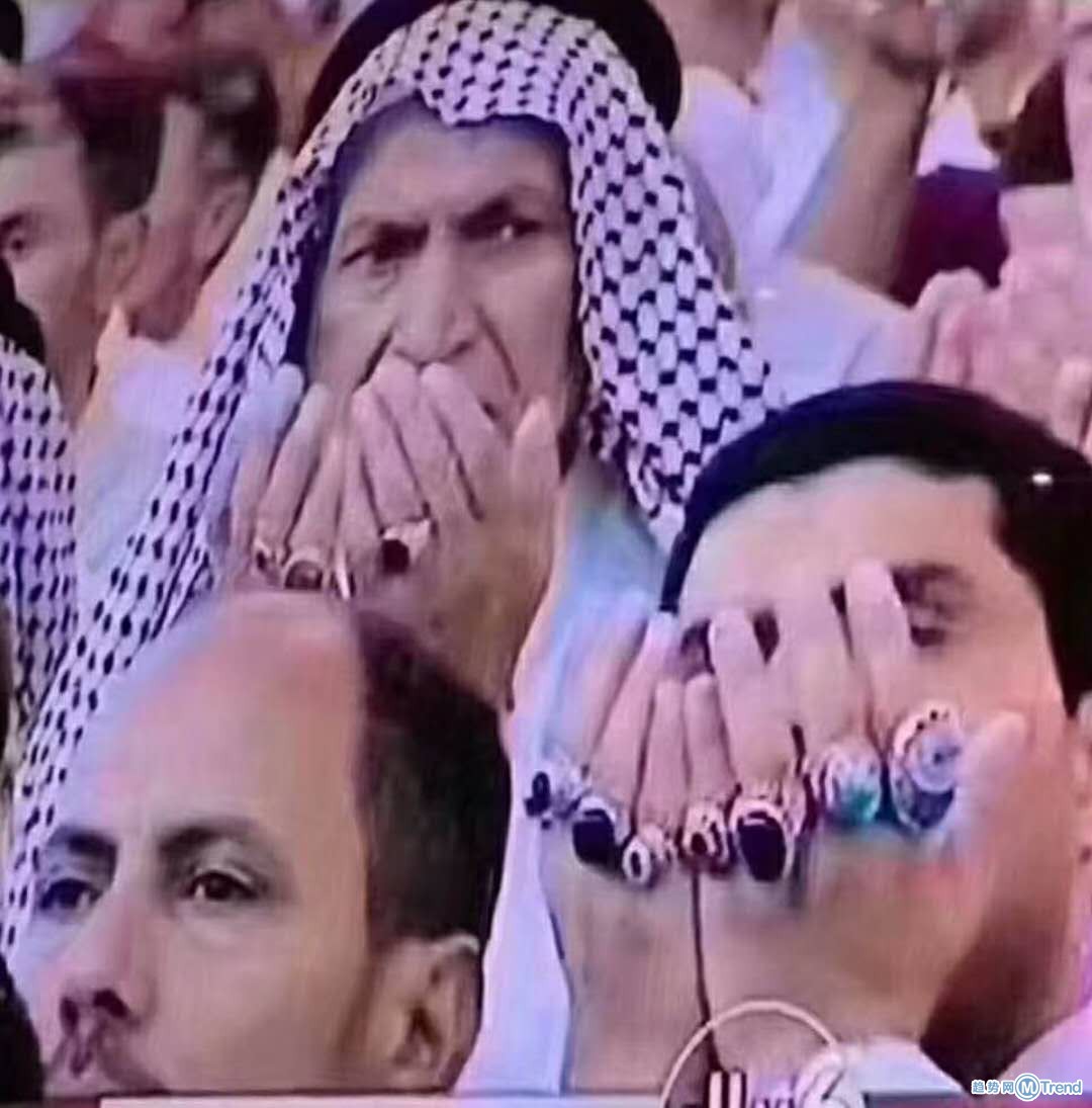 世界杯上的沙特球迷