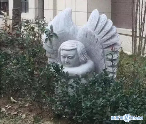 这就是传说中落入凡间的天使吗？