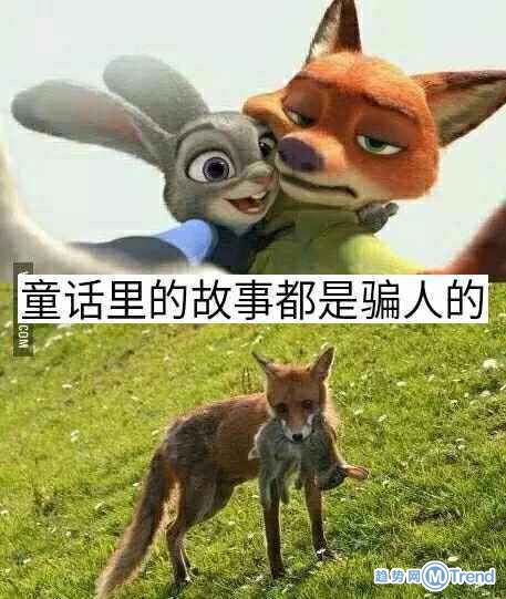 童话里都是骗人的！！