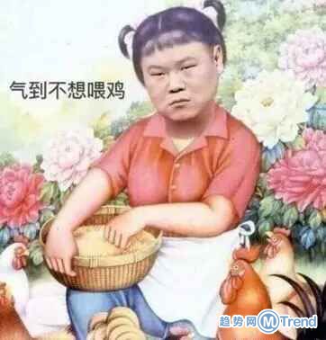 气到不想喂鸡！